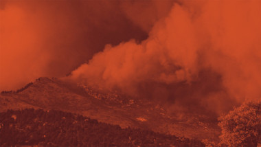 Crisis Response